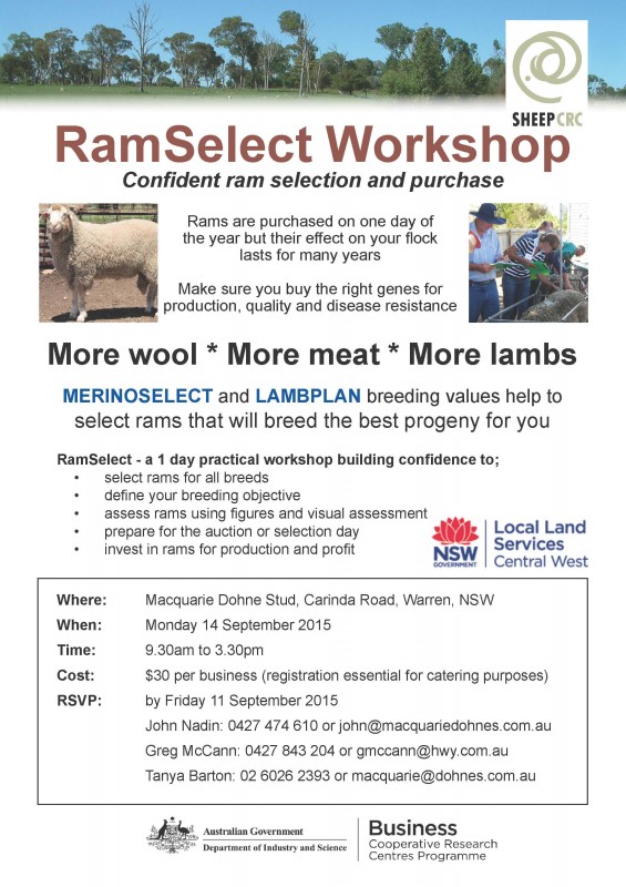 Macquarie Ram Select Workshop