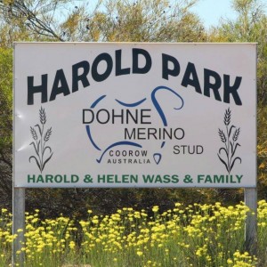 harold-park