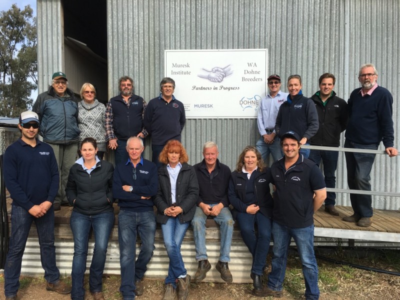 gdc-tour-to-western-australia-wa-dohne-breeders