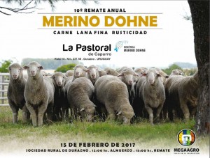 La Pastoral Sale 2017