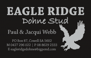 Eagle Ridge - Business Card