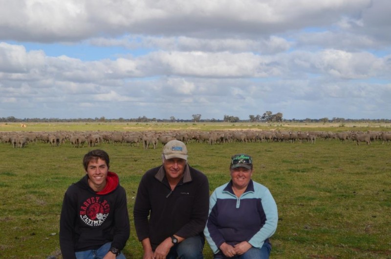 bare breech for Wakool ewes small