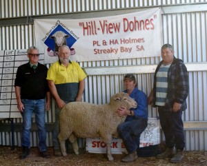 Hill View Sale 2017